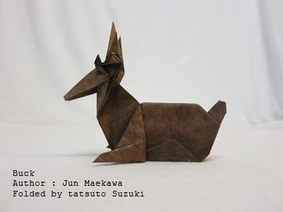 Photo Origami Buck, Author : jun Maekawa, Folded by Tatsuto Suzuki